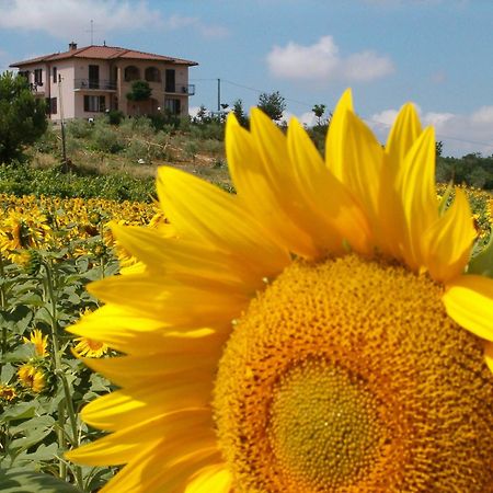 B&B Il Girasole - Rooms & House In Country - 1500 Meters From The City Монтепульчано Екстер'єр фото