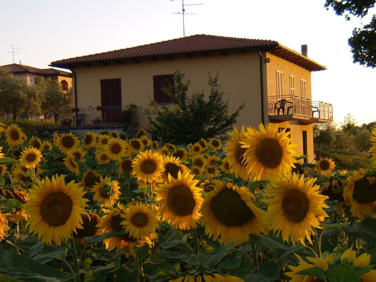 B&B Il Girasole - Rooms & House In Country - 1500 Meters From The City Монтепульчано Екстер'єр фото