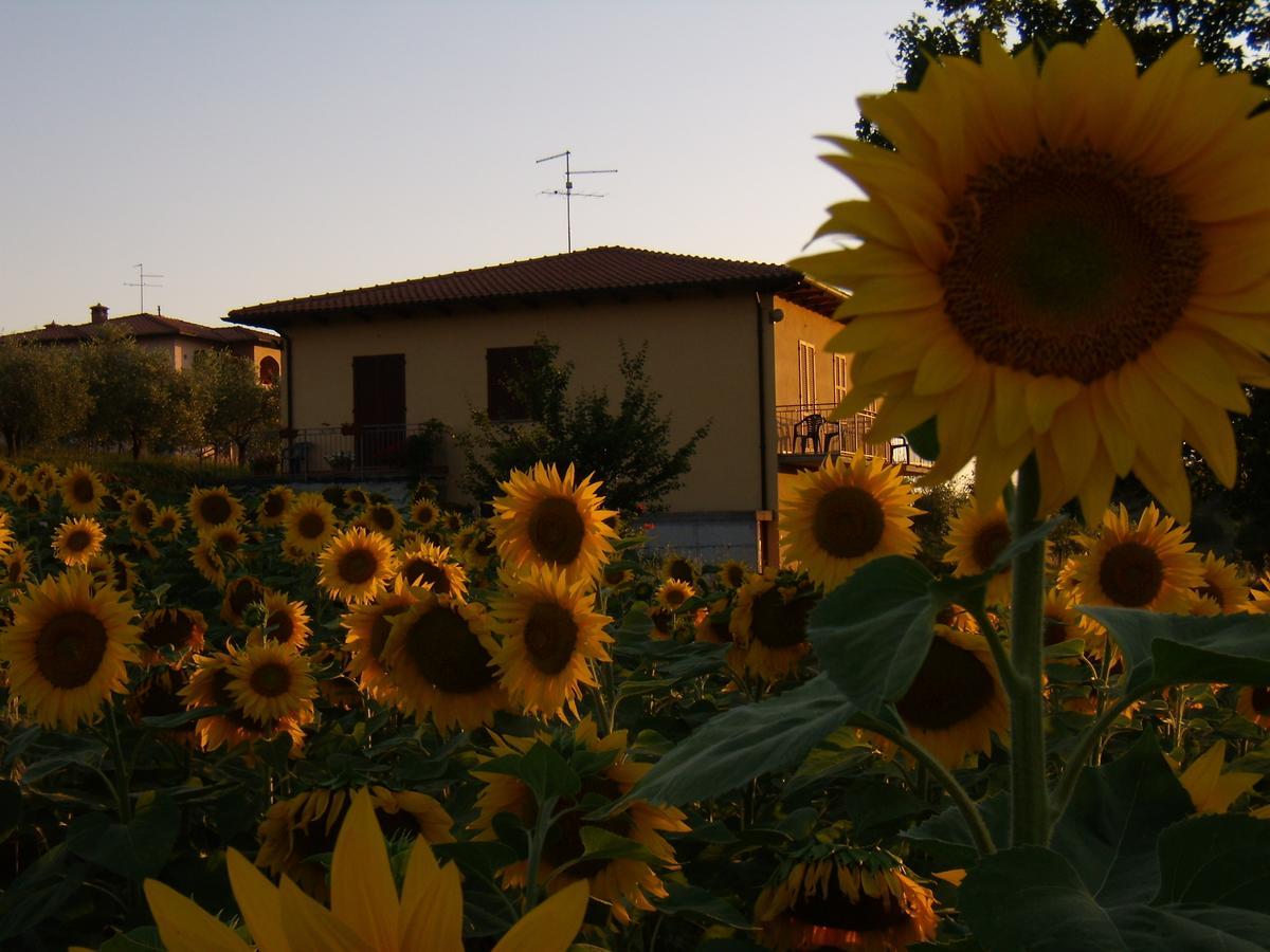 B&B Il Girasole - Rooms & House In Country - 1500 Meters From The City Монтепульчано Екстер'єр фото